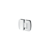 Glass Shower Door Hinge 4250