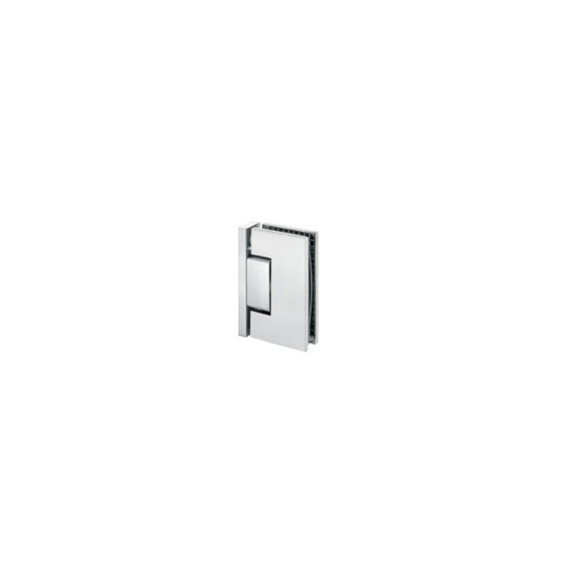 Glass Shower Door Hinge TD4255